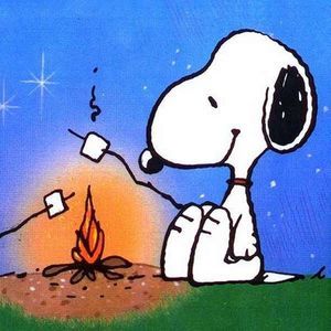 Meet your Posher, Jeff